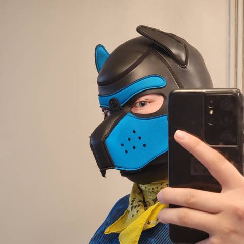 @pupmysteryad