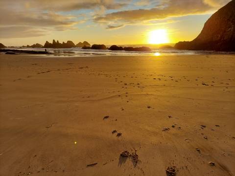 theladystrawberry nude