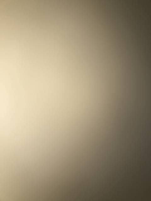 theestallionnnn nude