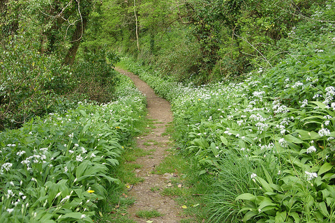 Bunny - sweetiebunny OnlyFans