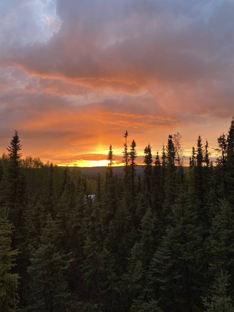 daddy-knows_best nude