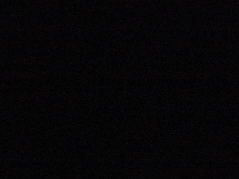 spookyleigh