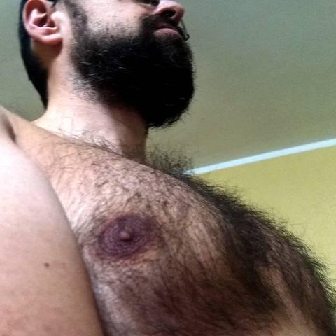 hairyteddy76vip