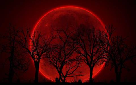 synystersyren1369