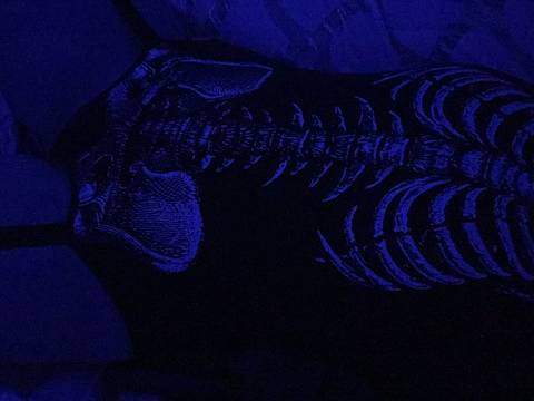 Stevie Tate - stevietatexoxo OnlyFans