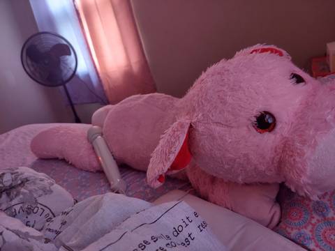 prettypiggy1256