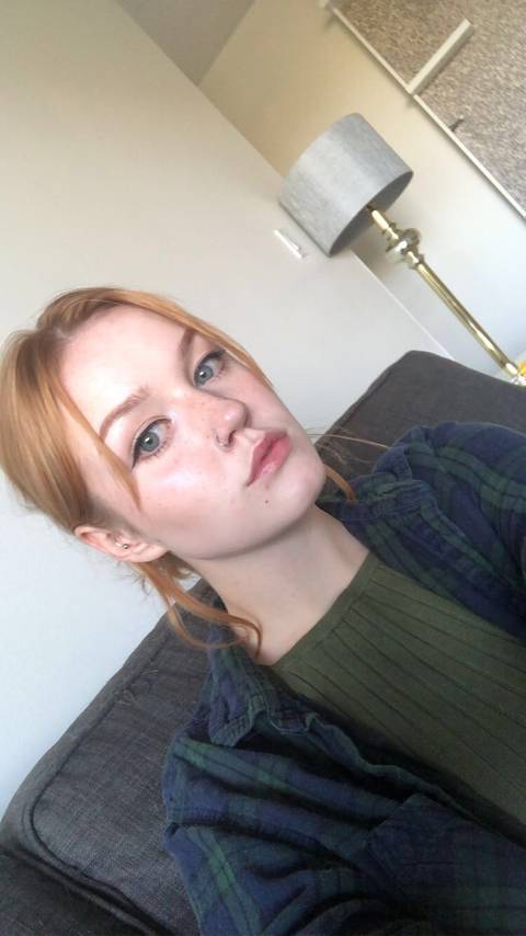 @wallaceandgromitmegafan