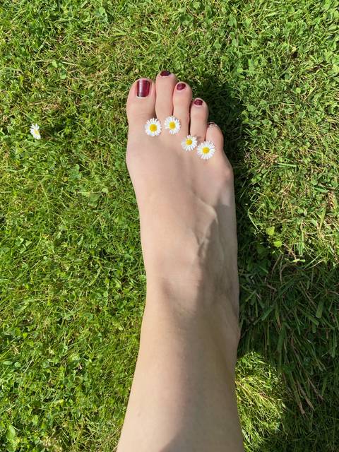 feetxsolextoes