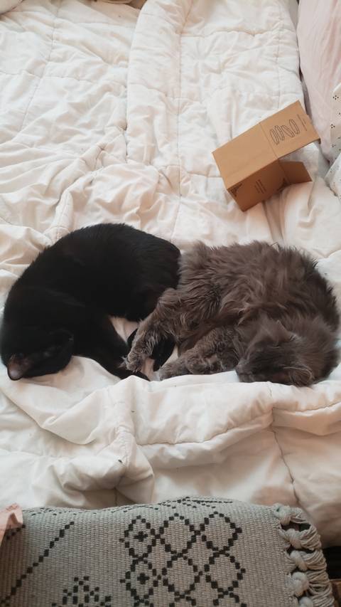 @smokeyvenus_official