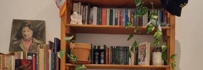 bad_lil_librarian nude
