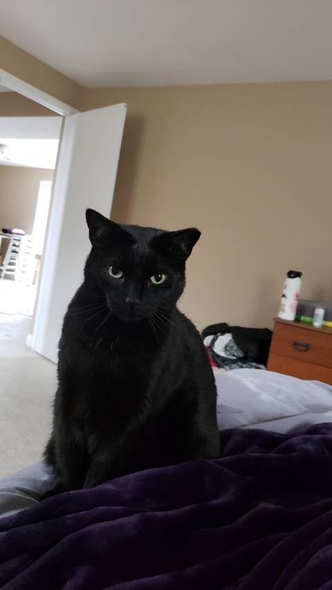 steviemcqueen69 nude