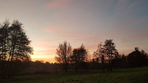 Plushy Princess - plushyprincess OnlyFans