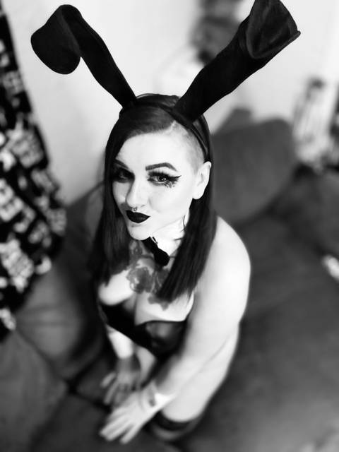 @freebunni