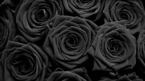 noneofyourbusiness2131 nude