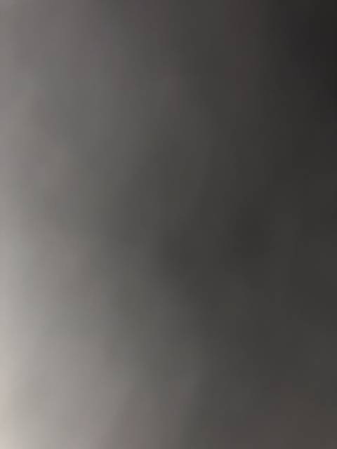 u176186529