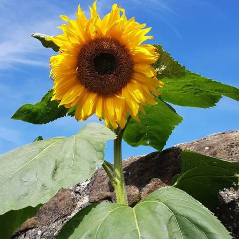 lola-rides-peloton nude