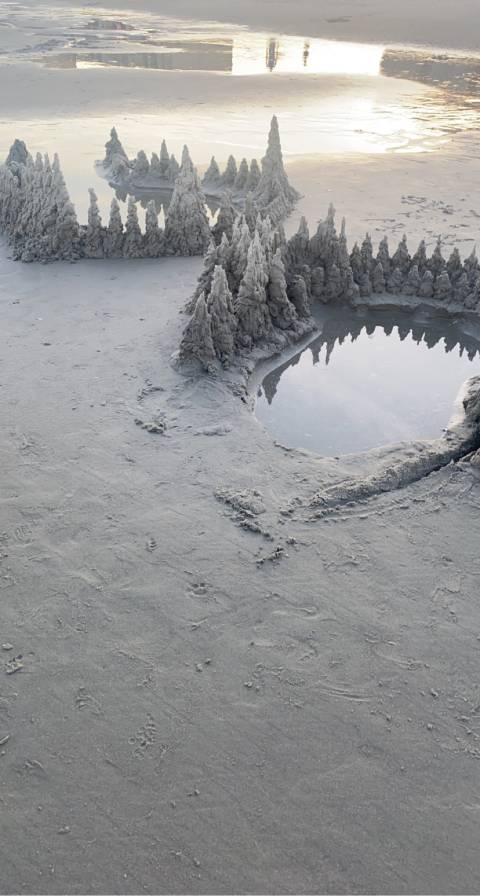 petprofessional nude