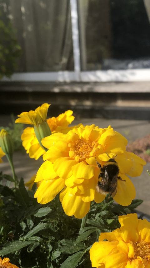 floraexploration nude