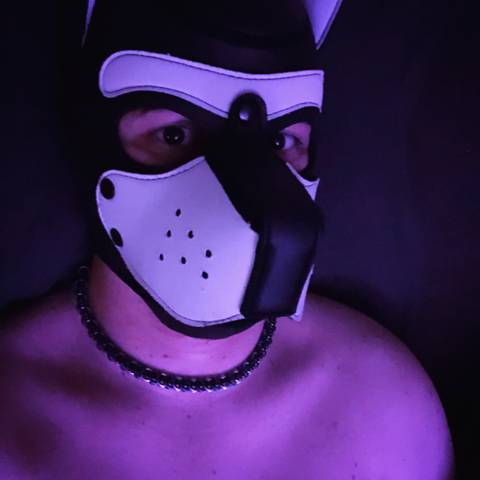 @pupkains