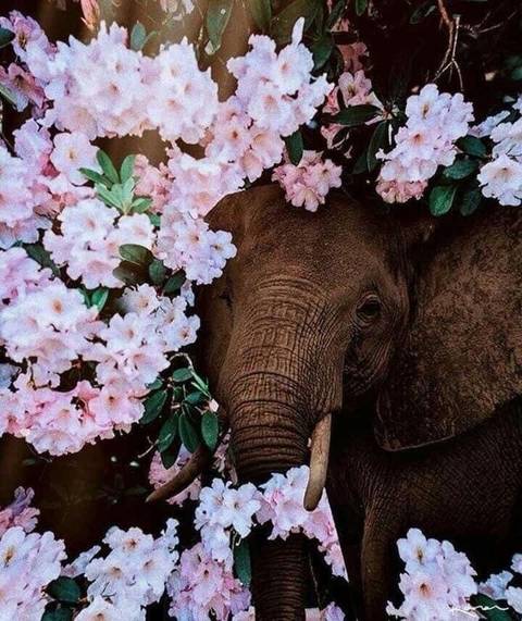 chelsbellsss420 nude