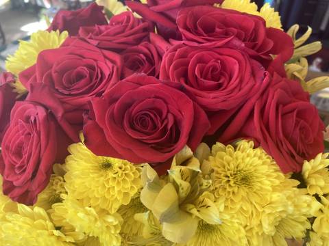 michelleochunfree nude