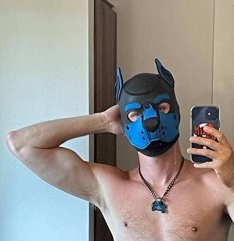 @cidpup