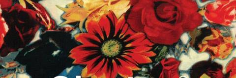 mybackpackbroke nude