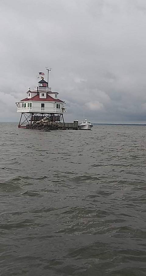 Allise the pirate - italianpirate OnlyFans