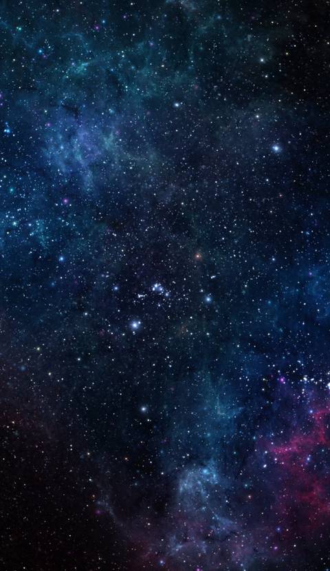 HoneyBunz_xx 🍯 - honeybunz_xx OnlyFans