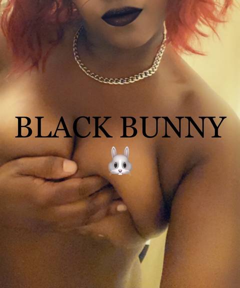 blackbunnybounce