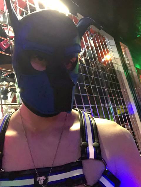 @pupbuoy