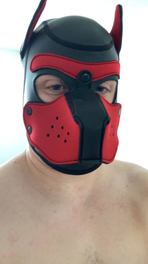 @pupfondue