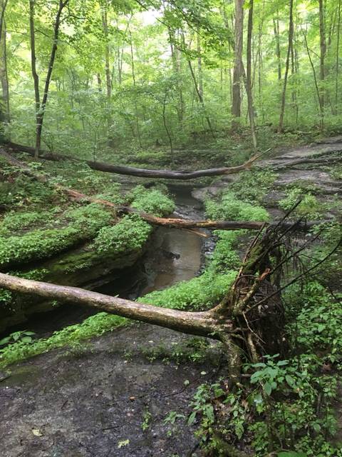 oneeyedintellect nude