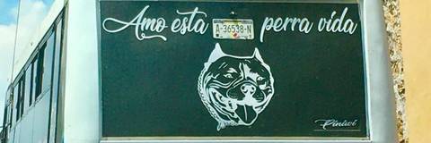 papito - papitodeazukar OnlyFans