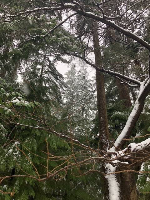 sandpaperscissors nude