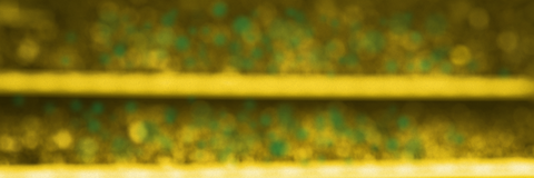 Miquel Sanchez - miguelsanchez91 OnlyFans