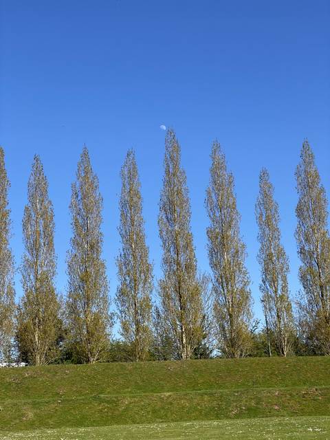 justaskandreceive nude