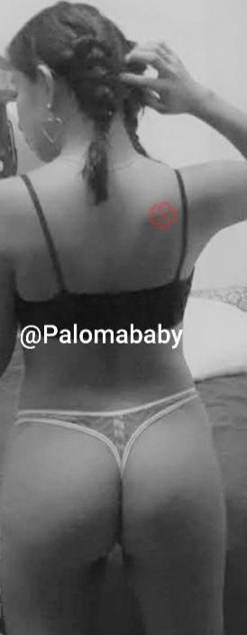 @palomadolly