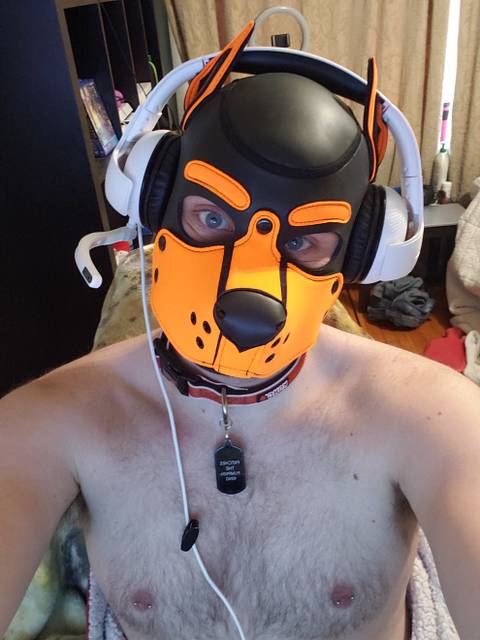 @pup-patches