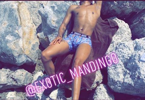 exotic_mandingo nude