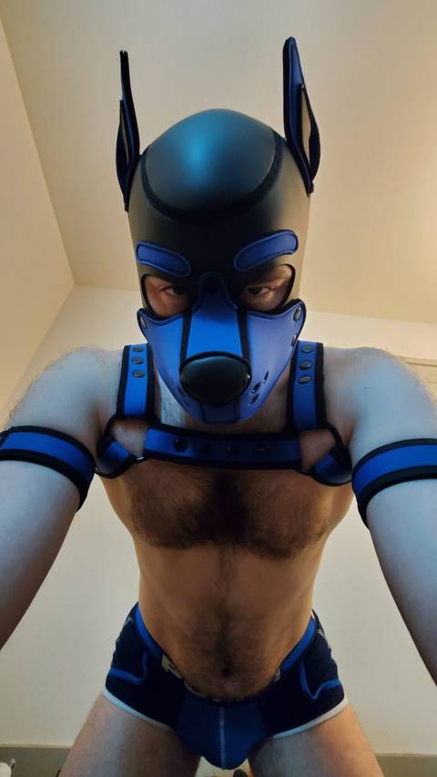 pupwarlock nude