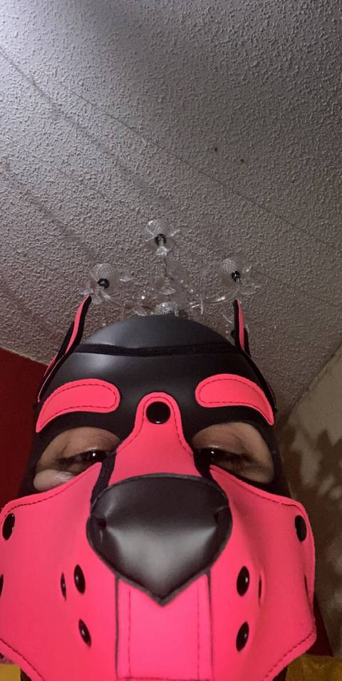 @pupmazikeen