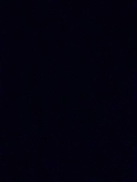 falcon_princess nude