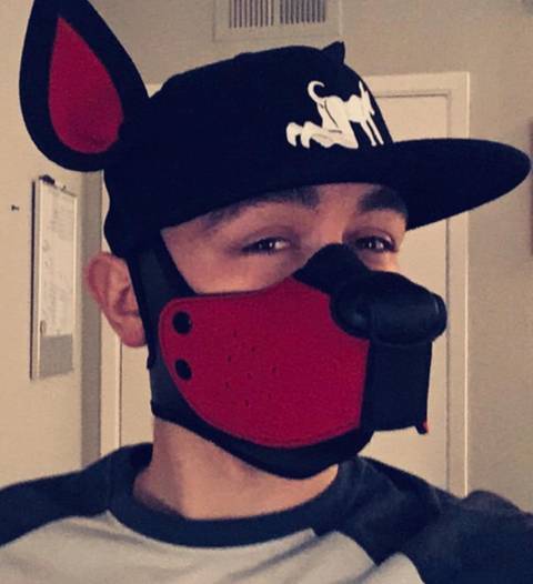 @ftm_puppy20