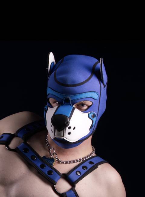 @pupwilde