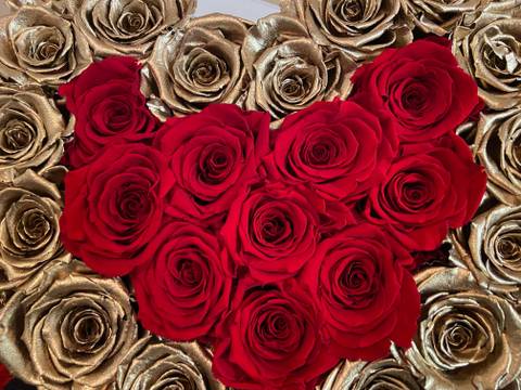 SelenaaasAsmr - selenaaasasmr OnlyFans