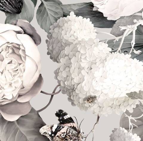 Miss Zelda - miss-zelda OnlyFans