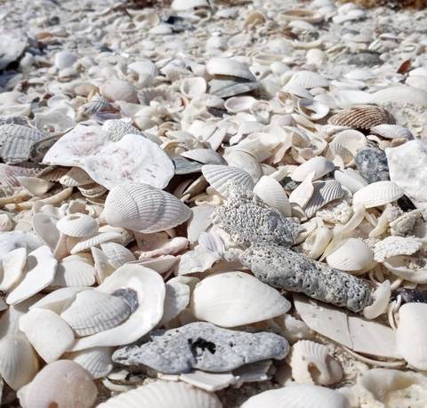 prettykitty5232 nude