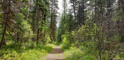 smallbutpowerful22 nude