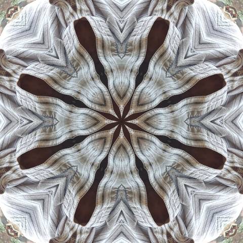 questionartporn nude